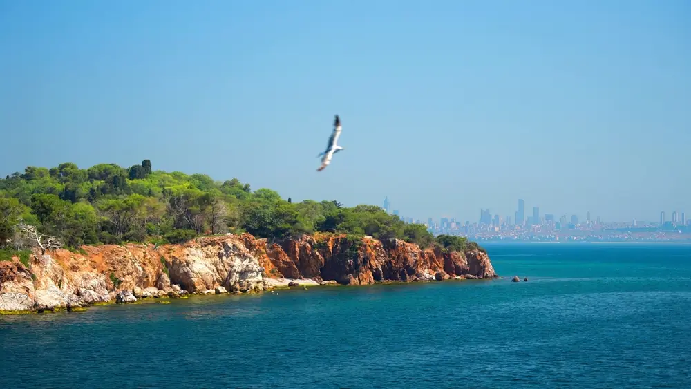 Aerial panorama of the Princes' Islands in the Sea of Marmara near Istanbul