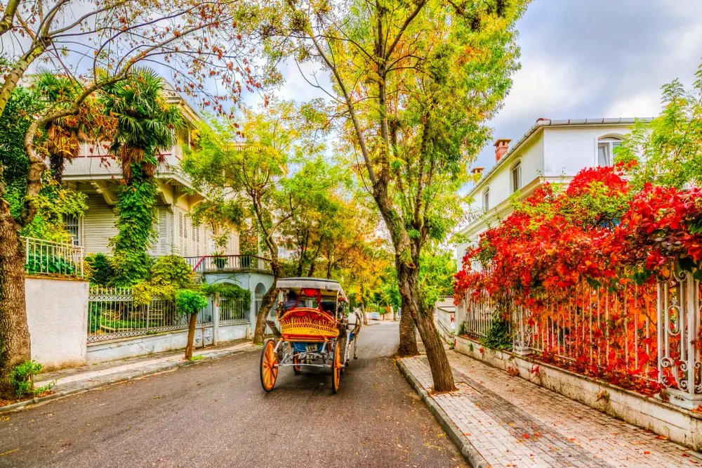 The historic clock tower square by the Büyükada ferry pier